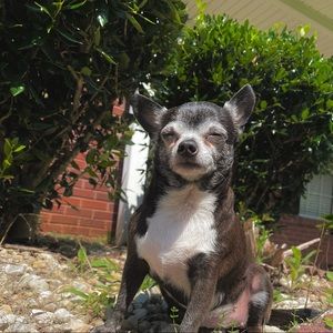 Meet your Posher, Stacy